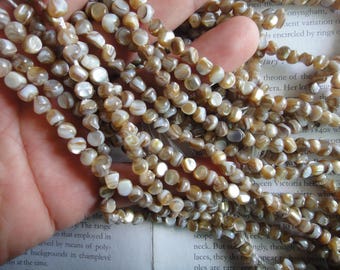 freeform natural shell beads, near round mop beads, 5mm, about 15.5 inch