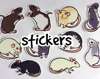 Cute Fancy Rat Stickers! Pack of 8 - Made to Order