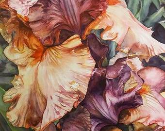 Heirloom Irises Original Watercolor Painting - Realistic Flowers, Realistic Watercolor, Botanical Painting, Realistic Painting, Floral