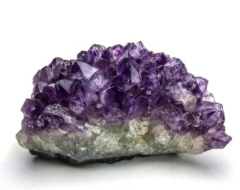 Amethyst Cluster from Brazil