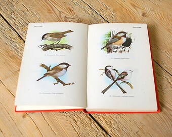 Vintage bird guide.Vintage bird illustrations.Vintage bird book.Collage page.Journal deco.Bird field guide.Book pages birds.Owls.Home decor