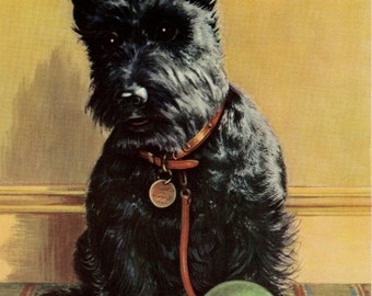 Vintage Dog Print Terrier Puppy by Winifred Martin C. 1953 Vintage Decor Matted 11x14"