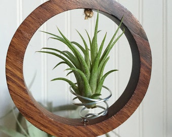 Tilly Ring Ornament by Zentilly©