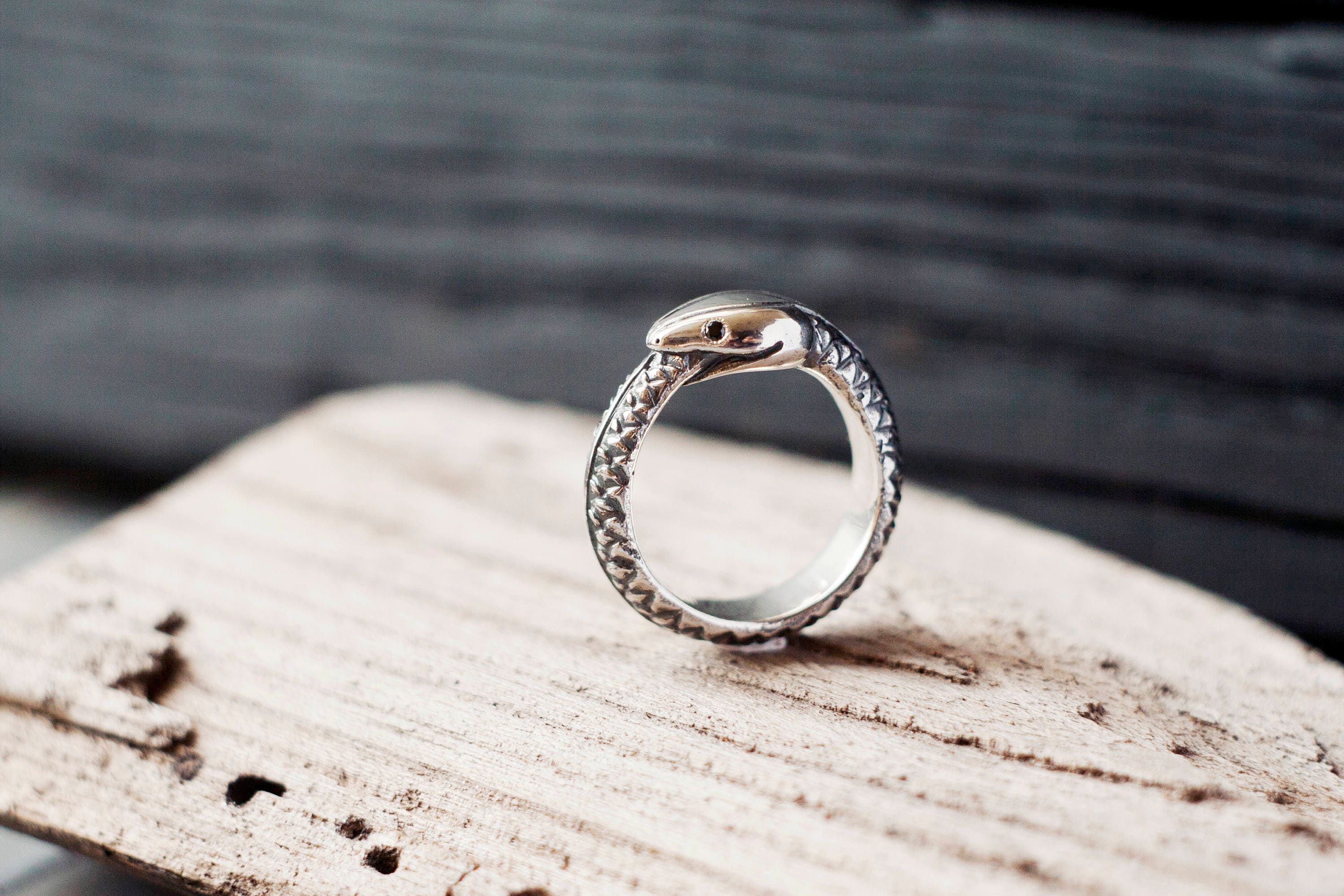 Ouroboros ring Serpent ring Snake eating tail Infinity