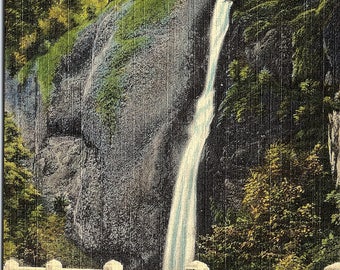 Horsetail Falls, Oregon, Columbia River Highway - Vintage Postcard - Postcard - Unused (S)