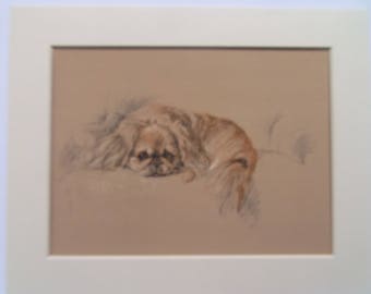 Pekinese dog print by Lucy Dawson dated 1935 in 9"x9" mount ready to frame