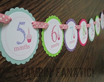 Sweet Little Cupcake Girl Banner: Just Born/0-12month Cupcake First Birthday Photo Picture Banner. First Birthday Banner. First Year Banner.