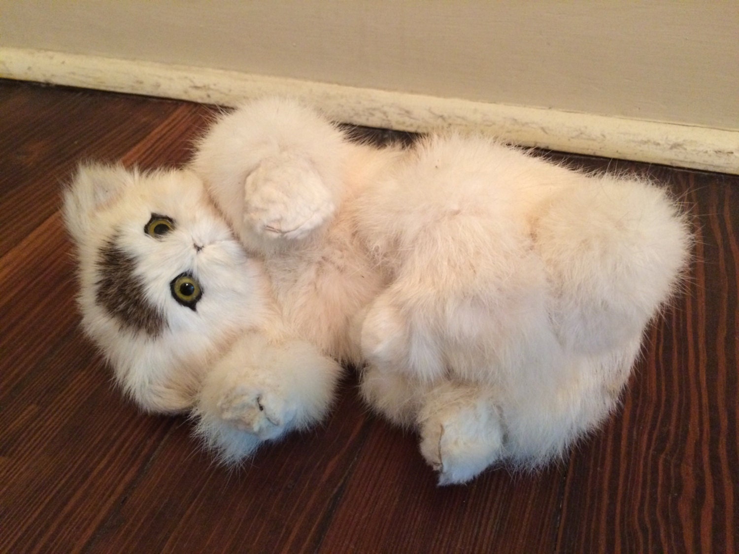 Faux Taxidermy Cat/Life Like Cat/Soft Kitten/Fake Cat