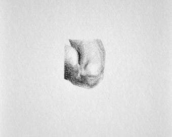 Detail of a knee - Small drawing