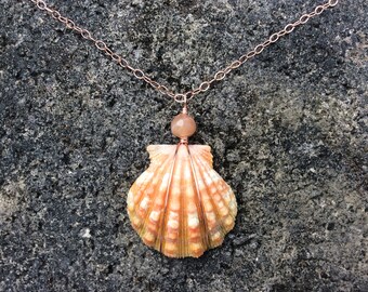 RARE Pink, Blue, Hawaiian Sunrise Shell, Pink Moonstone Gemstone, 14k Rose Gold Filled Chain Necklace
