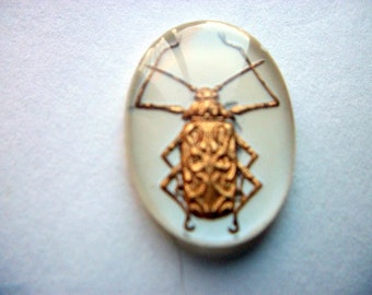 Vintage Glass Intaglio of a Bug/Scarab