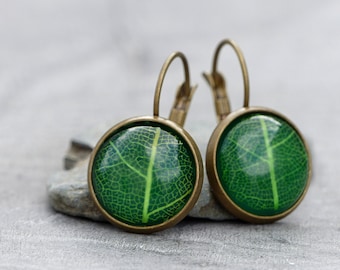 Real leaf - earrings with a real leaf