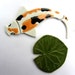 handmade ceramic koi carp and lily pad tiles for mosaic or other projects