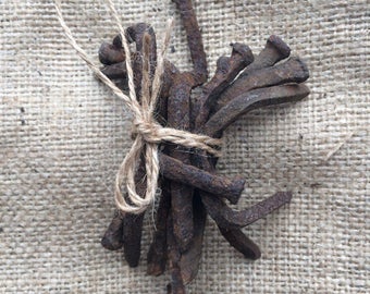 10 pcs. Rusty Square Nails Bent Textured Vintage Found Objects for Assemblage, Altered Art or Sculpture - Industrial Salvage