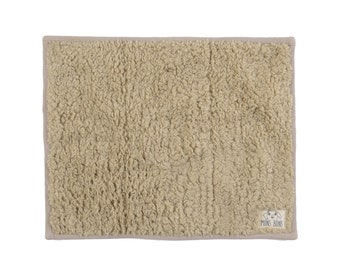 The Outdoor Dog Mat
