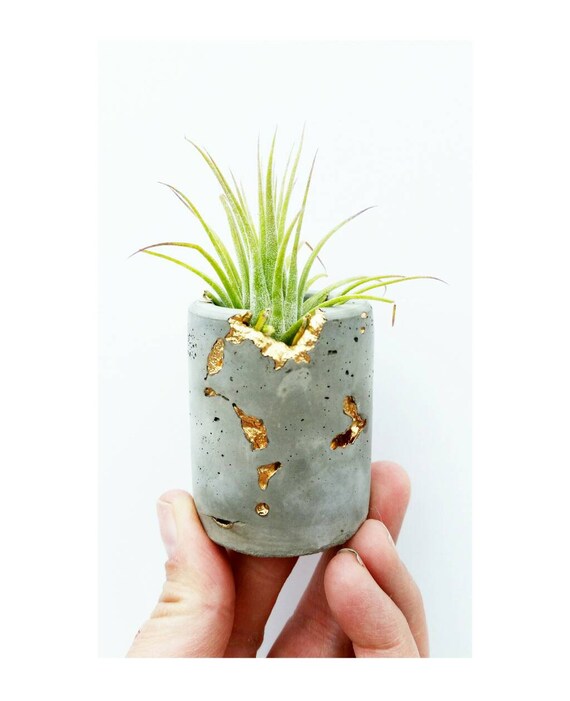 Concrete Gold Filigree Air Planter, Modern Metallic planter, Cactus Planter, Cactus Decor, Succulent Planter, Indoor Planter, Desk planter