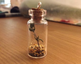 Pet Blessing and Protection Spell Bottle