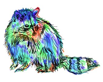 Raccoon(2B) Giclée Print - Cavanata - 8" X 10" Raccoon Graphic Fine Art Print, Original Illustration, Animal Art