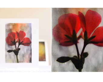 Red Flower greeting card