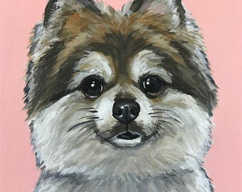Pomeranian Art Print, Colorful Pomeranian art, Pomeranian Prints Canvas or Archival Paper options, Cute Pomeranian Decor