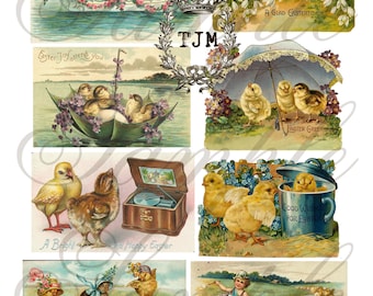 Cute Chicks Collage Sheet--Instant Download
