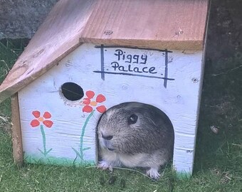 Cute handmade guinea pig house