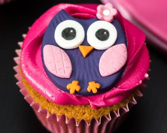 2D Sugarpaste owl Cupcake toppers