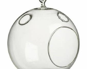 Round 5" Glass Terrarium with Minor Imperfections / Closeout Price Glass