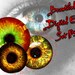 Eyes Digital Circle Download Printable Images Collage Sheet Set Jewelry Making Super Beautiful Round Monster Animals Dragon Scary Eyeball