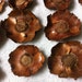 COCONUT FLOWERS 24PC Wooden Pieces Craft Botanicals make Gourds Baskets Wreaths
