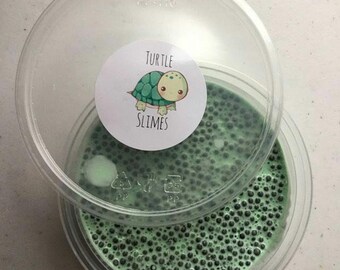 Mint Chocolate Chip Ice Cream
