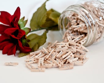 100 Mini Clothes Pins made of wood