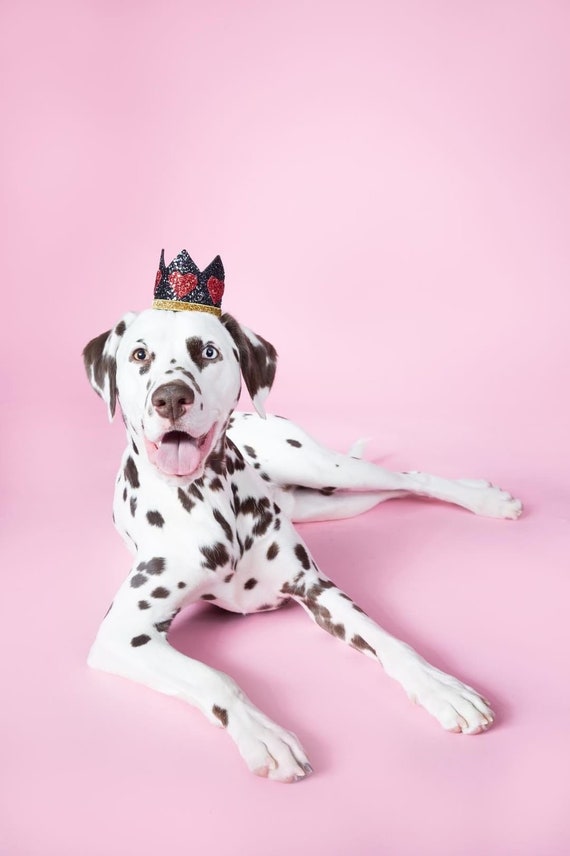 Dog Costume || King of Hearts Crown || Dog Hat || Crown Headband || Dog Clothes || Add Any Number