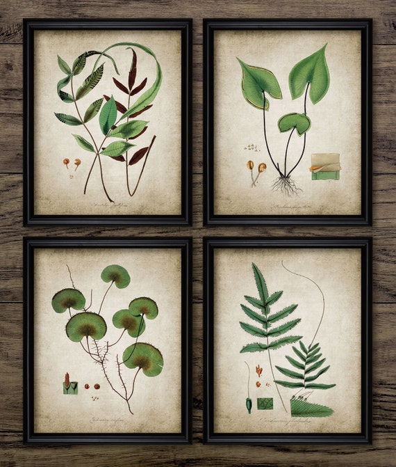 Green Plant Print Set of 4