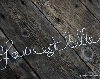 Elegant French Decor La Vie Est Belle Wall Sign