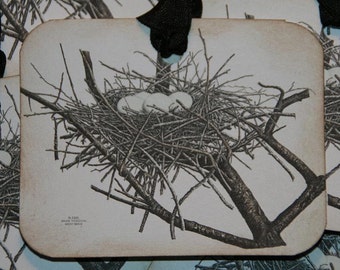 Vintage Bird Nest Tags