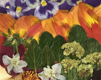 Flower 08.18 Giclee Print 12”x18”