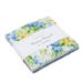 Moda SUMMER BREEZE V 42 5"x5" Quilt Fabric Squares 33300PP Charm Pack