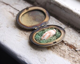 Nesting bunny Locket
