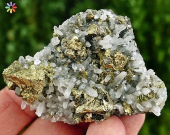 Amazing Quartz with Chalcopyrite, Crystal, Mineral, Natural Crystal