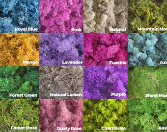 Preserved Moss, Reindeer Moss, Dried Moss, Terrarium Moss, Colorful Moss, Sheet Moss, Lichen, Purple Fairy Garden Forest Moss Vase Filler