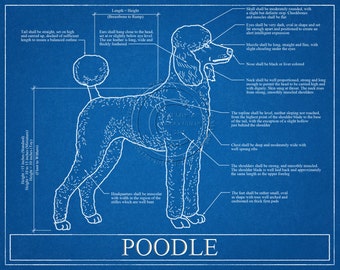 Poodle Blueprint Elevation / Poodle Art / Poodle Wall Art / Poodle Gift / Poodle Print
