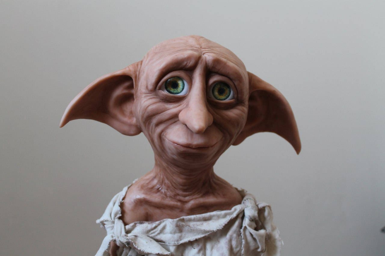 Фото добби из гарри поттера крупным планом с носком