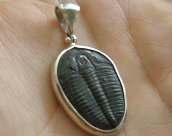 Trilobite Fossil 250,000,000 years sterling silver pendant