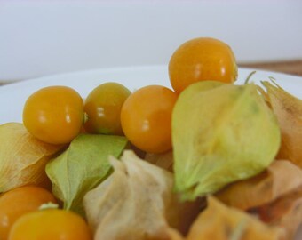 Ground Cherry (50 thru 1/2oz seeds) Perfect Heirloom for Pies & Snacking! 270