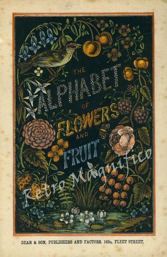 Alphabet of Flowers and Fruit