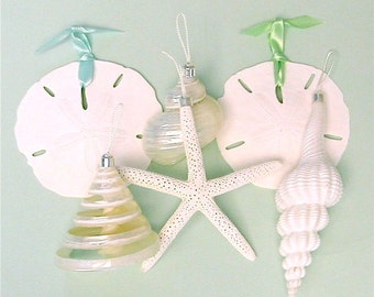Seashell and Starfish Christmas Ornaments - Set of 6 - beach ornaments sea shells star fish starfish sand dollars