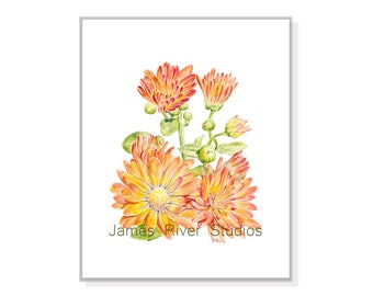 Chrysanthemum Art Chrysanthemum Print Chrysanthemum Decor Yellow Orange Mums Painting Mums Art Mums Wall Art Flower Floral Watercolor Print.