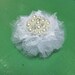 Custom Orders
