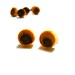 Yew wood post earrings, natural wood earrings, wood stud earrings, wood gauges